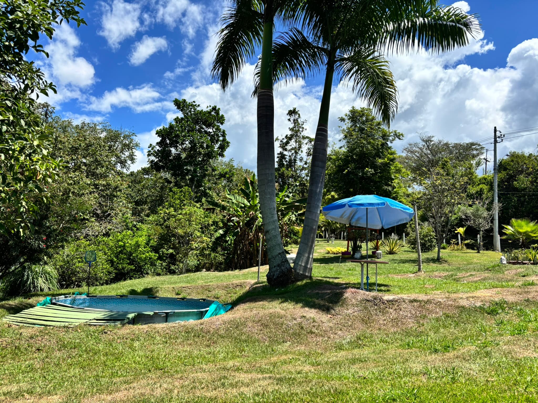 Zona de piscina y áreas verdes en Finca Tarso
