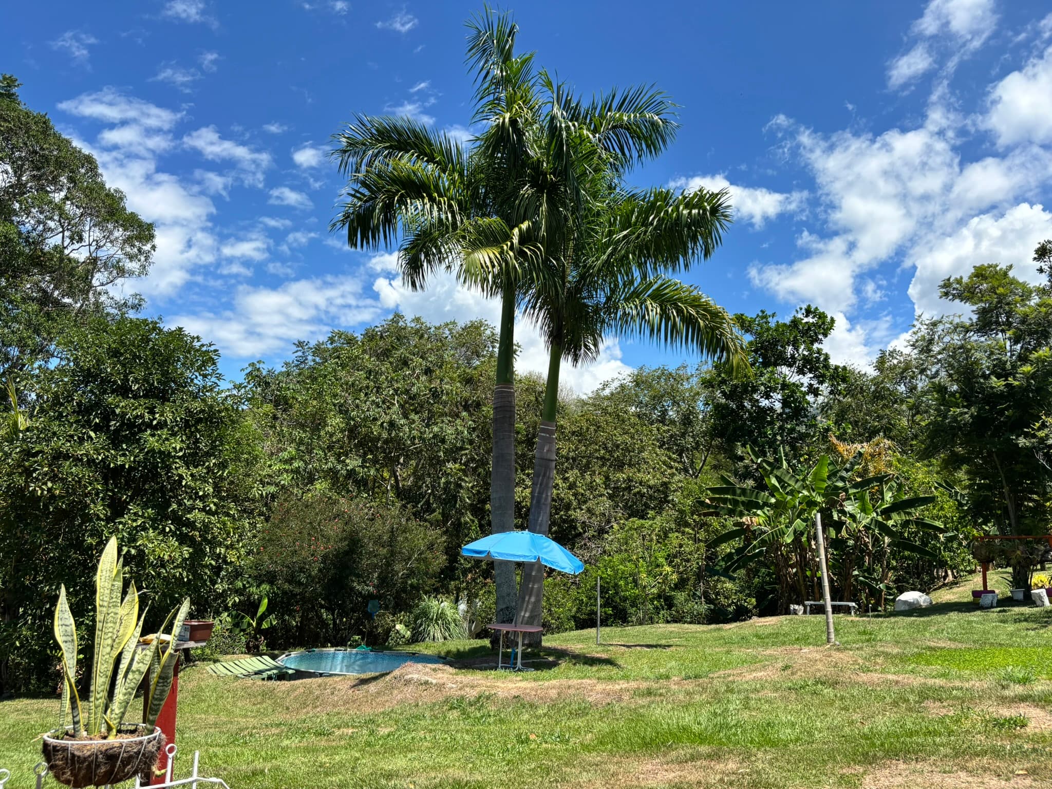 Piscina y zona común en Finca Tarso